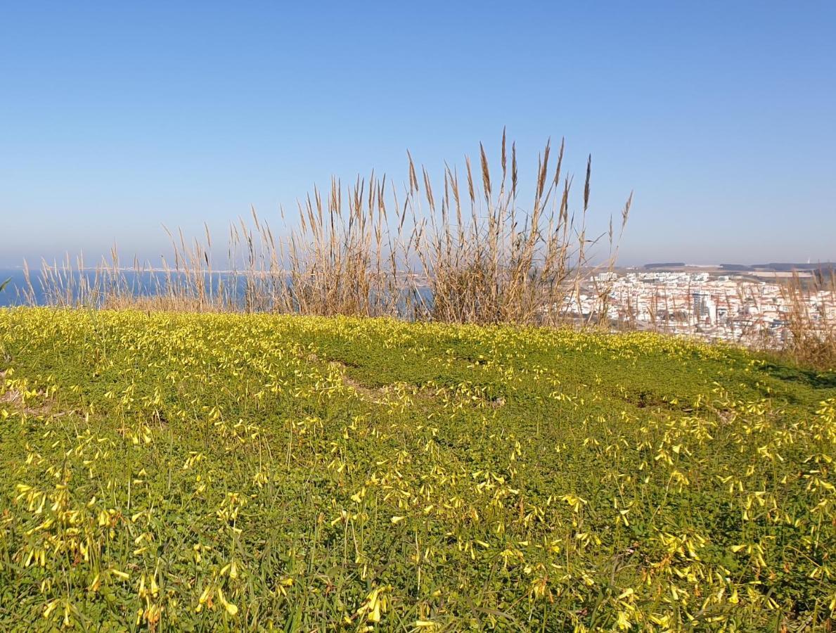 Casa Harmonica Com Vista Mar Vila Areia Branca Exterior foto